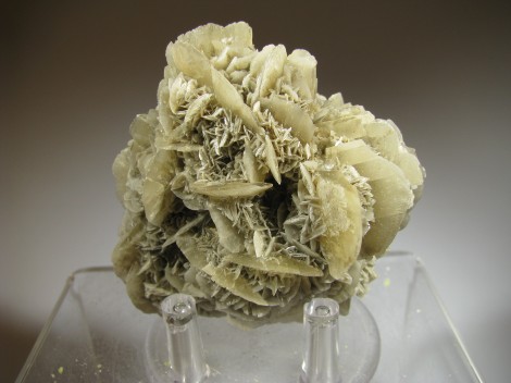 Gypsum - San Lazzaro, App. Bolognese, Italy